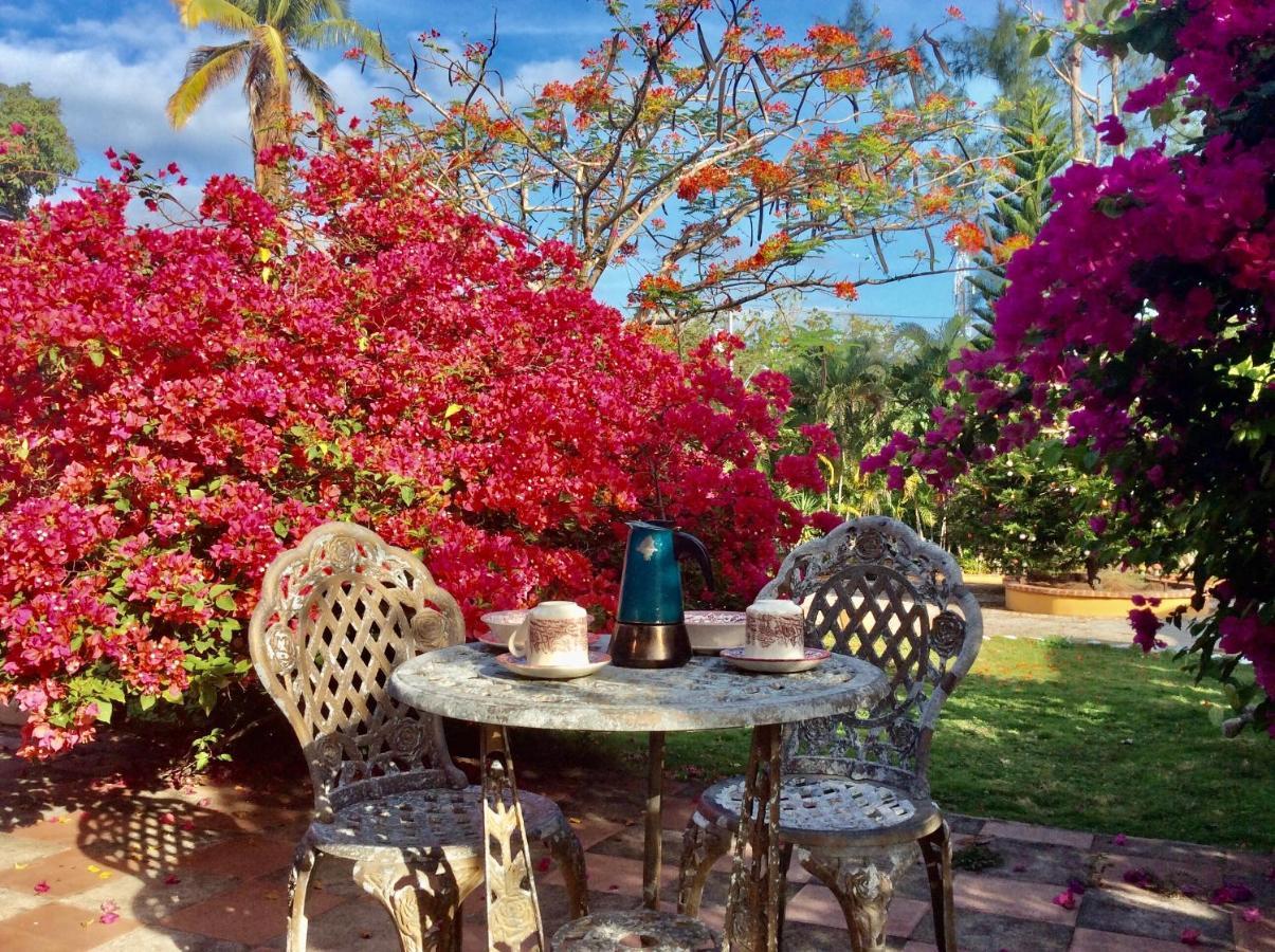 Cafegourmetptacorona San Carlos Dış mekan fotoğraf