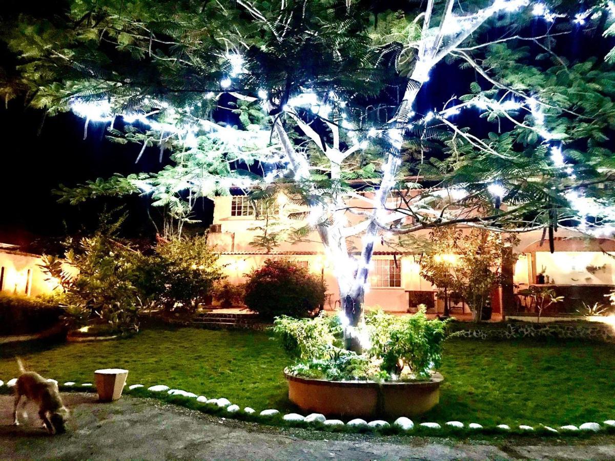 Cafegourmetptacorona San Carlos Dış mekan fotoğraf